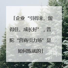 企业“引得来、留得住、成长好”，普陀“营商引力场”是如何炼就的
