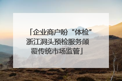 企业商户盼“体检” 浙江洞头预检服务颠覆传统市场监管