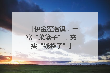 伊金霍洛镇：丰富“菜篮子”，充实“钱袋子”