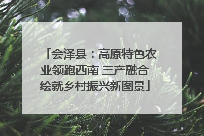 会泽县：高原特色农业领跑西南 三产融合绘就乡村振兴新图景