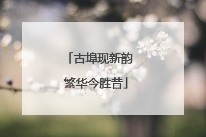 古埠现新韵 繁华今胜昔