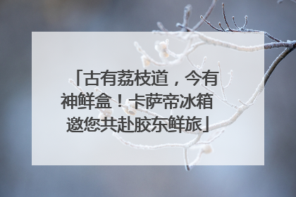 古有荔枝道，今有神鲜盒！卡萨帝冰箱邀您共赴胶东鲜旅