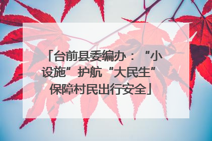 台前县委编办：“小设施”护航“大民生” 保障村民出行安全
