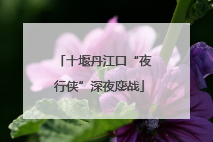 十堰丹江口“夜行侠”深夜鏖战