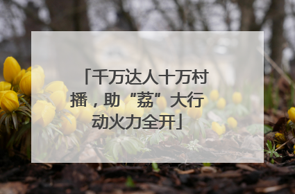 千万达人十万村播，助“荔”大行动火力全开