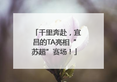 千里奔赴，宜昌的TA亮相“苏超”赛场！