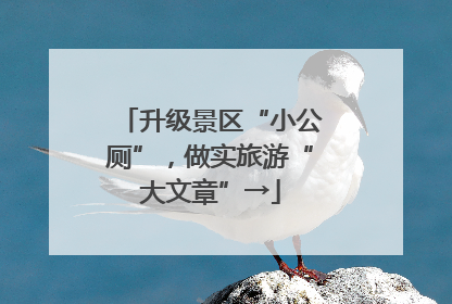 升级景区“小公厕”，做实旅游“大文章”→