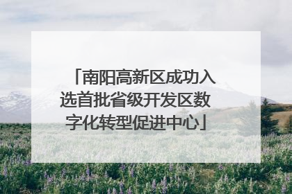 南阳高新区成功入选首批省级开发区数字化转型促进中心