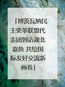博茨瓦纳民主变革联盟代表团到访湖北嘉鱼 共绘国际友好交流新画卷
