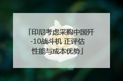 印尼考虑采购中国歼-10战斗机 正评估性能与成本优势