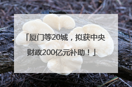 厦门等20城，拟获中央财政200亿元补助！
