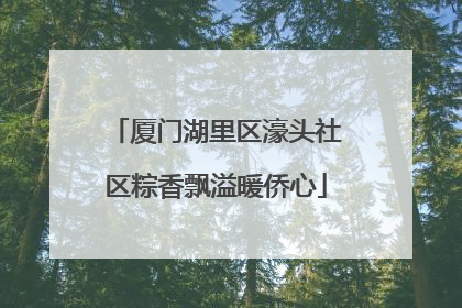 厦门湖里区濠头社区粽香飘溢暖侨心