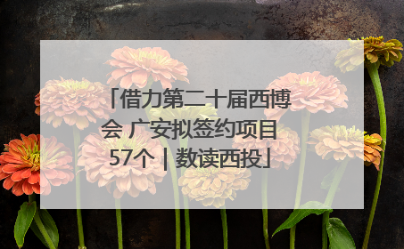 借力第二十届西博会 广安拟签约项目57个｜数读西投