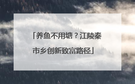 养鱼不用塘？江陵秦市乡创新致富路径