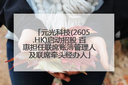 元光科技(2605.HK)启动招股 百惠担任联席账簿管理人及联席牵头经办人