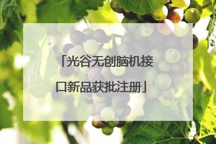 光谷无创脑机接口新品获批注册