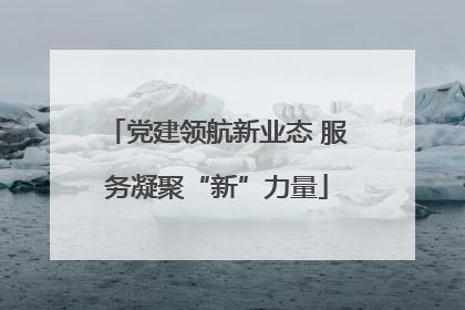 党建领航新业态 服务凝聚“新”力量