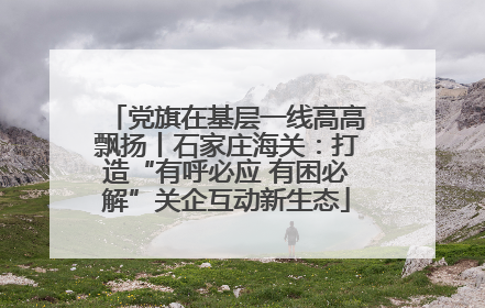 党旗在基层一线高高飘扬丨石家庄海关：打造“有呼必应 有困必解”关企互动新生态