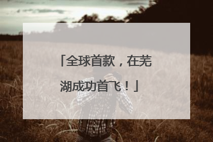 全球首款，在芜湖成功首飞！