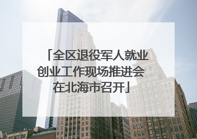 全区退役军人就业创业工作现场推进会在北海市召开