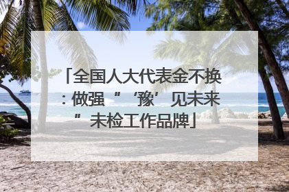 全国人大代表金不换：做强“‘豫’见未来”未检工作品牌