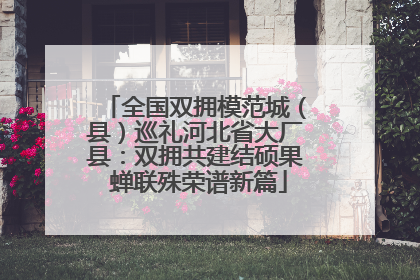 全国双拥模范城（县）巡礼河北省大厂县：双拥共建结硕果 蝉联殊荣谱新篇