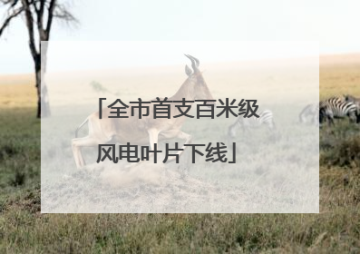全市首支百米级风电叶片下线