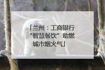 兰州：工商银行“智慧餐饮”助燃城市烟火气
