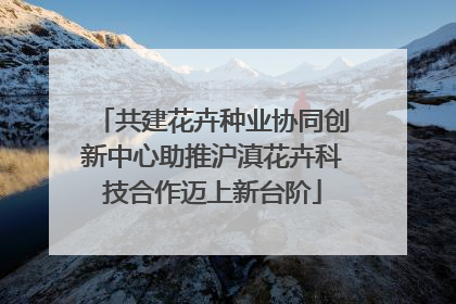 共建花卉种业协同创新中心助推沪滇花卉科技合作迈上新台阶