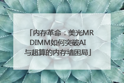 内存革命：美光MRDIMM如何突破AI与超算的内存墙困局
