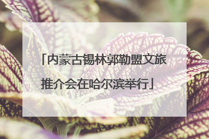 内蒙古锡林郭勒盟文旅推介会在哈尔滨举行