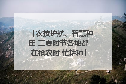 农技护航、智慧种田 三夏时节各地都在抢农时 忙耕种