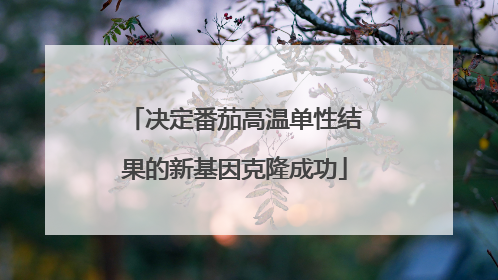 决定番茄高温单性结果的新基因克隆成功