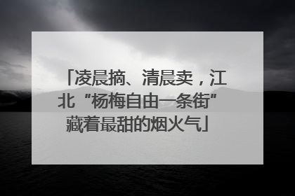 凌晨摘、清晨卖，江北“杨梅自由一条街”藏着最甜的烟火气