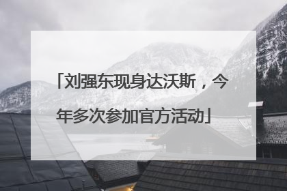 刘强东现身达沃斯，今年多次参加官方活动