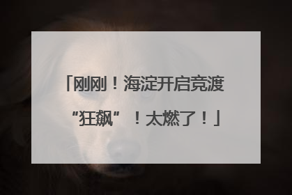 刚刚！海淀开启竞渡“狂飙”！太燃了！