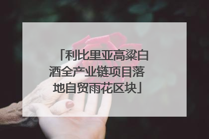 利比里亚高粱白酒全产业链项目落地自贸雨花区块
