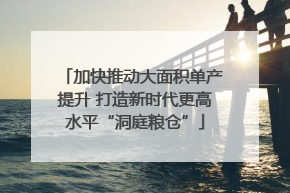 加快推动大面积单产提升 打造新时代更高水平“洞庭粮仓”