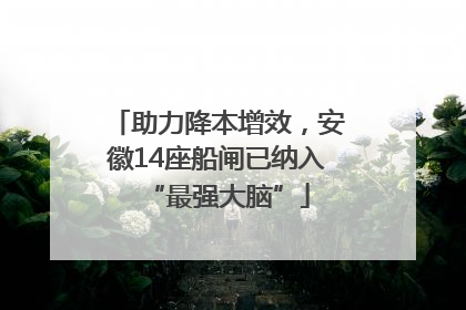 助力降本增效，安徽14座船闸已纳入“最强大脑”