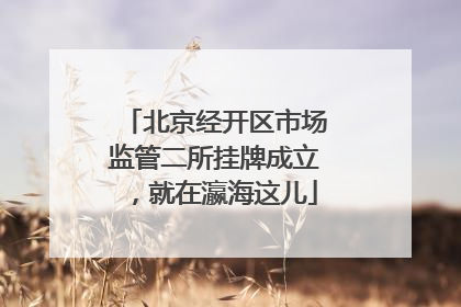 北京经开区市场监管二所挂牌成立，就在瀛海这儿