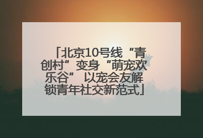 北京10号线“青创村”变身“萌宠欢乐谷” 以宠会友解锁青年社交新范式