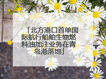 北方港口首单国际航行船舶生物燃料油加注业务在青岛港落地