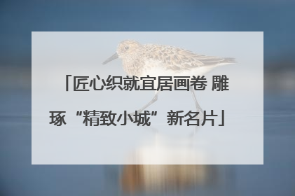 匠心织就宜居画卷 雕琢“精致小城”新名片