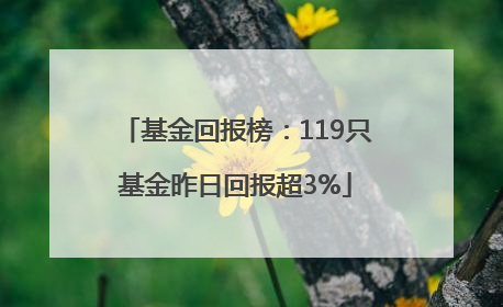 基金回报榜：119只基金昨日回报超3%
