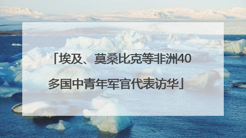 埃及、莫桑比克等非洲40多国中青年军官代表访华