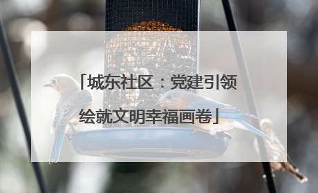 城东社区：党建引领绘就文明幸福画卷