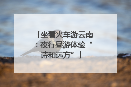 坐着火车游云南：夜行昼游体验“诗和远方”