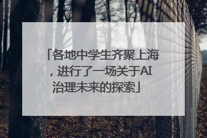 各地中学生齐聚上海，进行了一场关于AI治理未来的探索