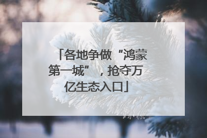 各地争做“鸿蒙第一城”，抢夺万亿生态入口