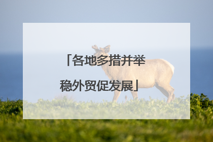 各地多措并举稳外贸促发展